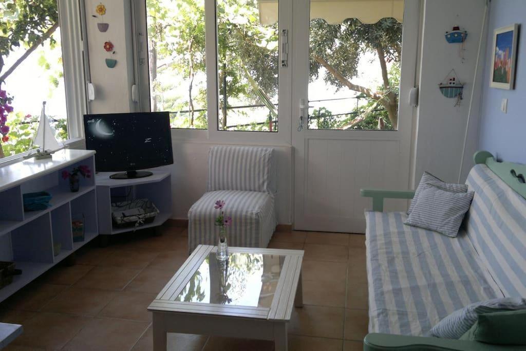 LEMONELIA photo 3