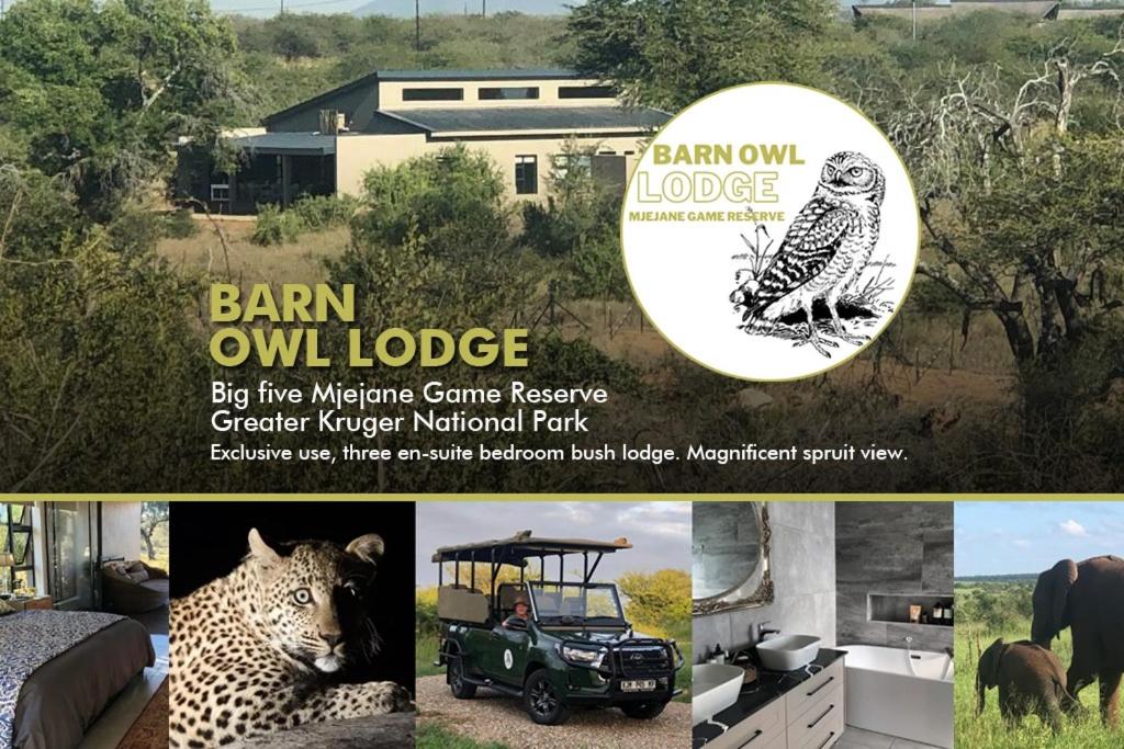 Barn Owl Lodge, Mjejane Game Reserve, Greater Kruger Park photo 1