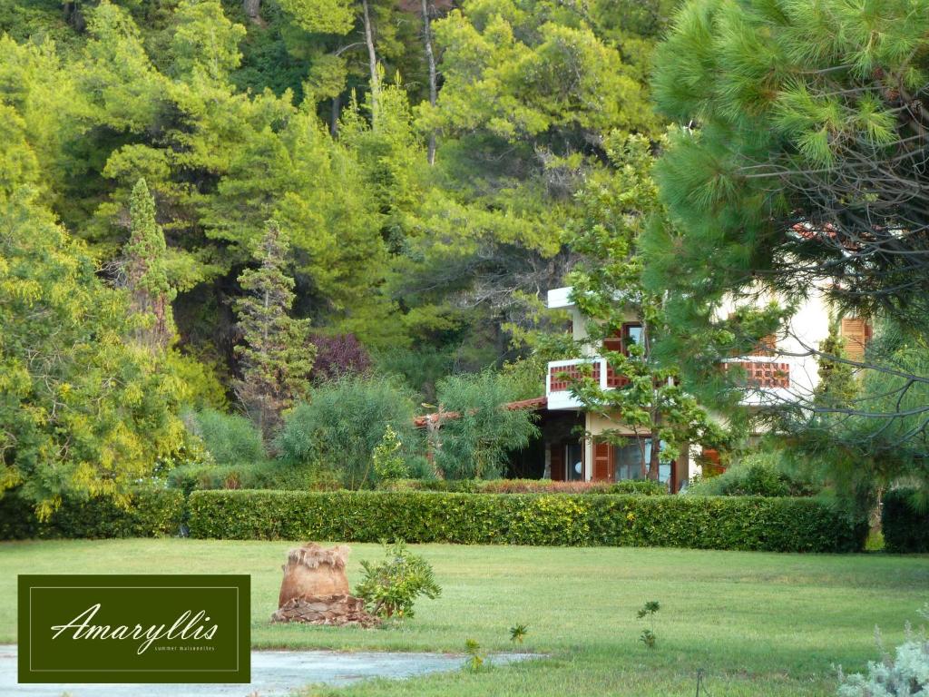 Amaryllis Summer Maisonettes photo 2
