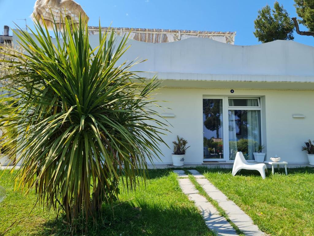 Villa Tropical photo 1