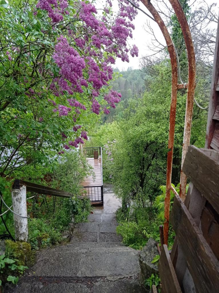 le gîte des remparts photo 2