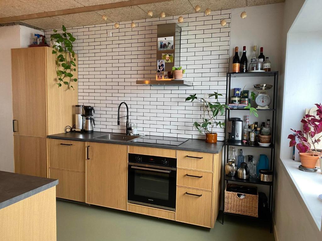 Newly renovated house with garden and ocean view photo 3