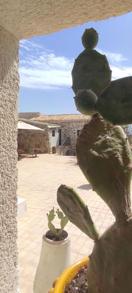 Borgo delle Pietre photo 4