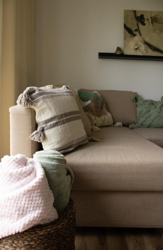 Mileva apartman photo 2