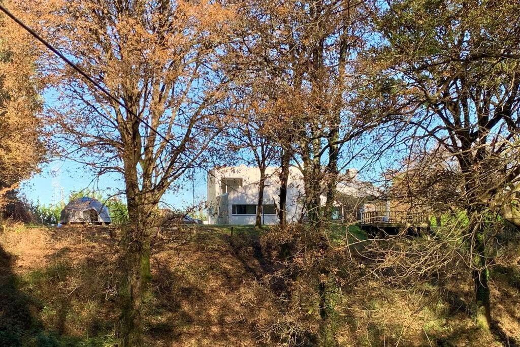 BASOANGYM Villa con jardin y bosque centenario photo 2