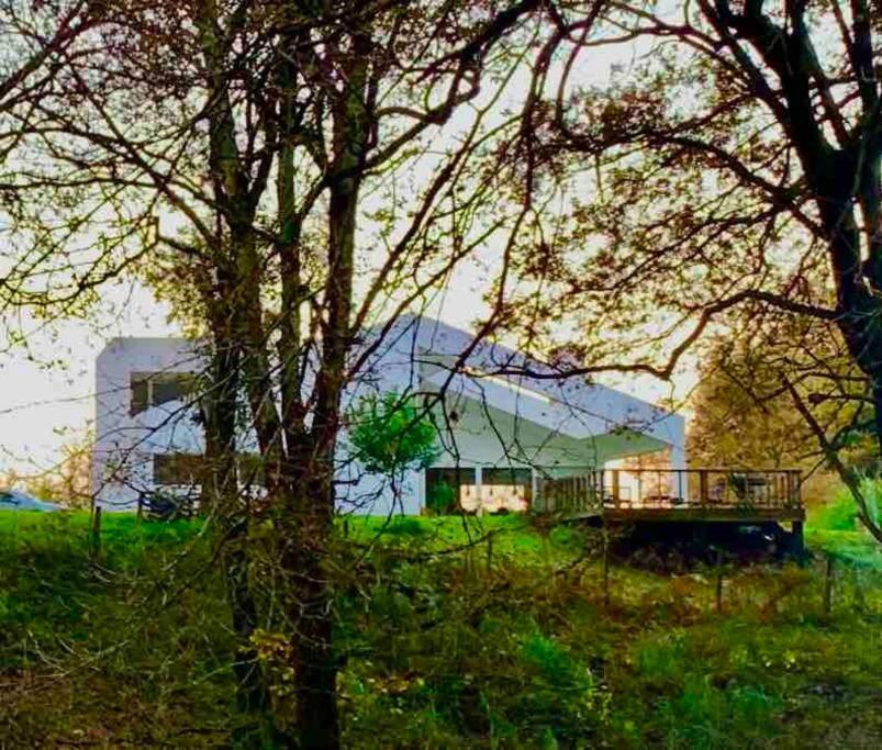 BASOANGYM Villa con jardin y bosque centenario photo 4