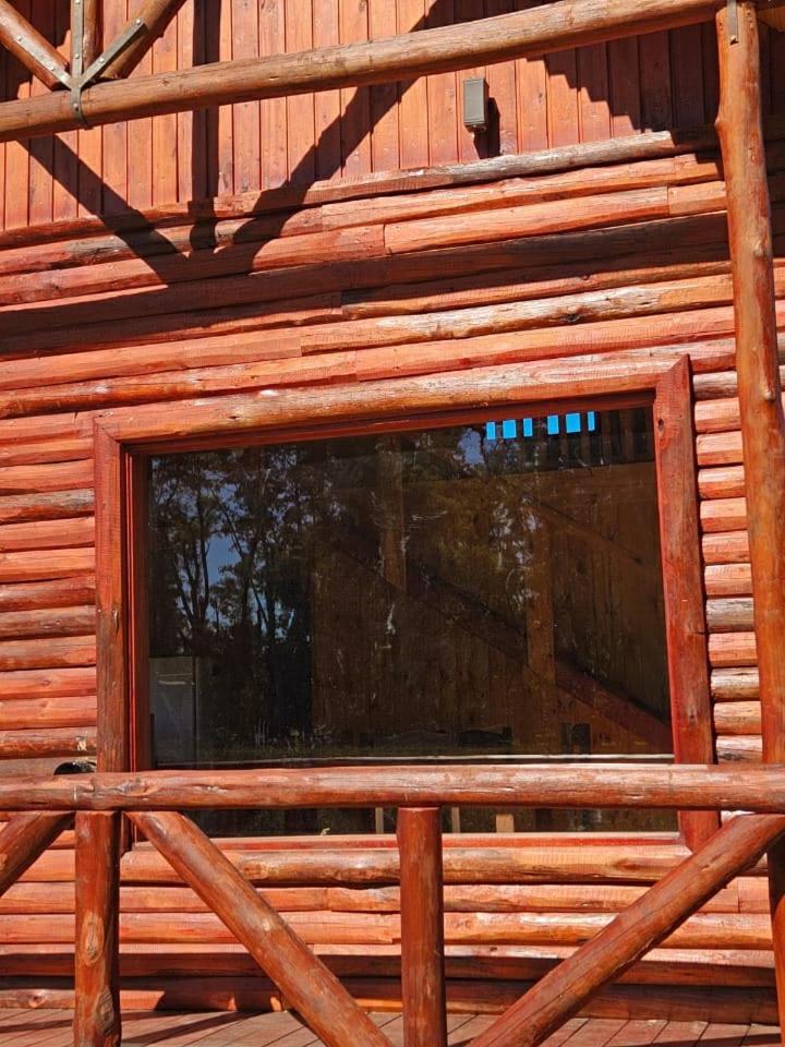 TERRA photo 3