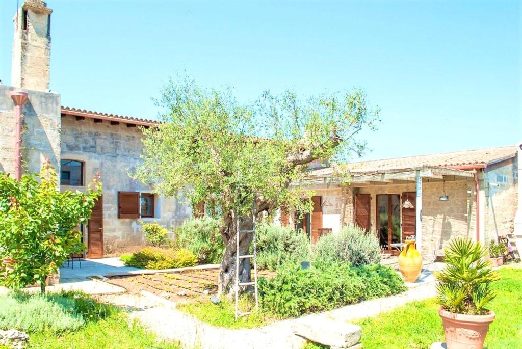 2 bedrooms apartement with shared pool enclosed garden and wifi at Minervino di Lecce 8 km away from the beach photo 3