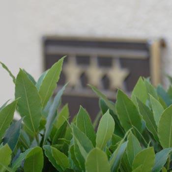 Akzent Hotel Residence Bautzen photo 4