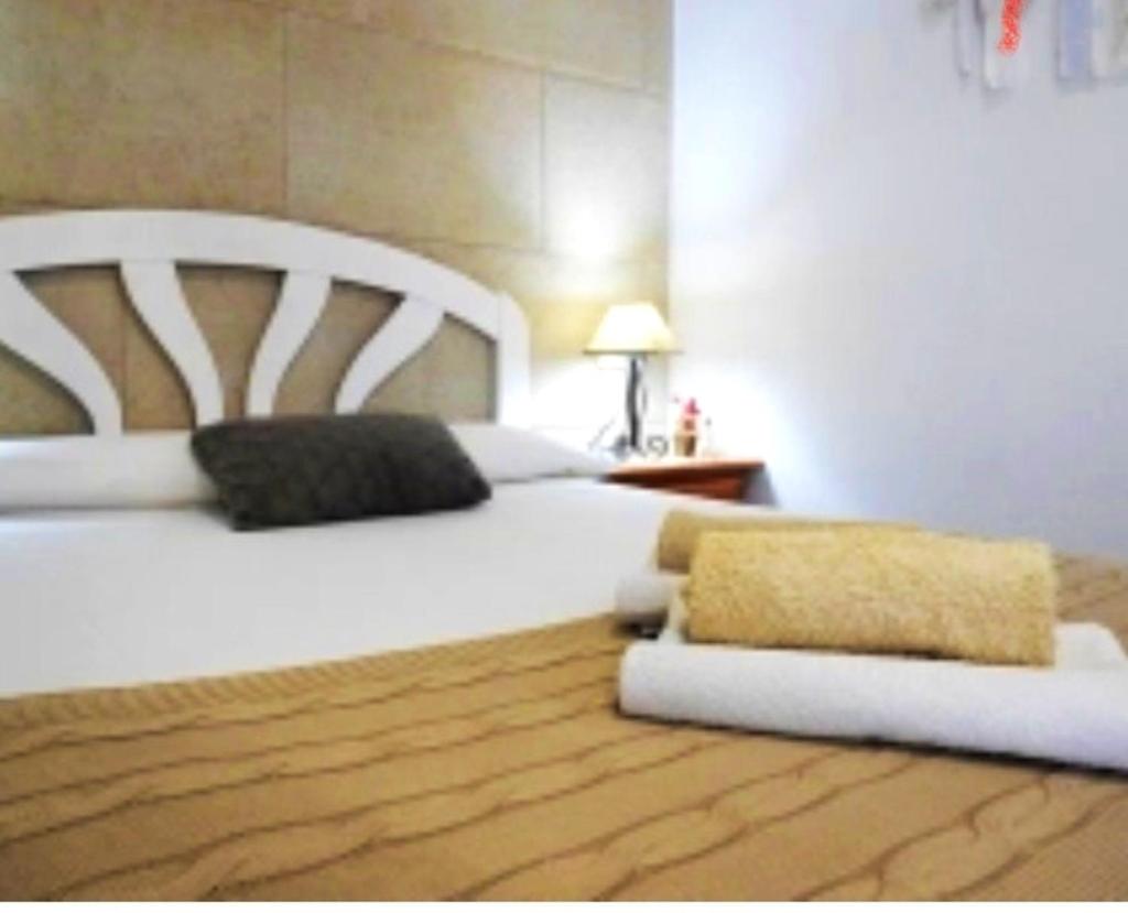 5 bedrooms house with enclosed garden and wifi at Poble Nou 6 km away from the beach photo 3