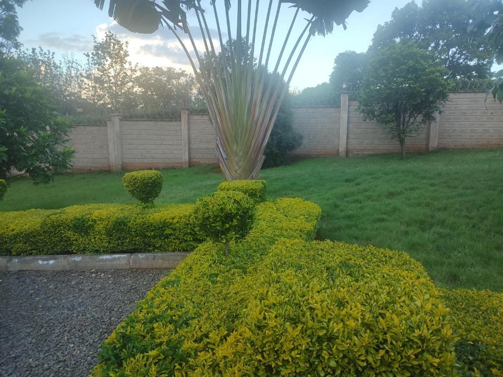 The Garden House photo 1