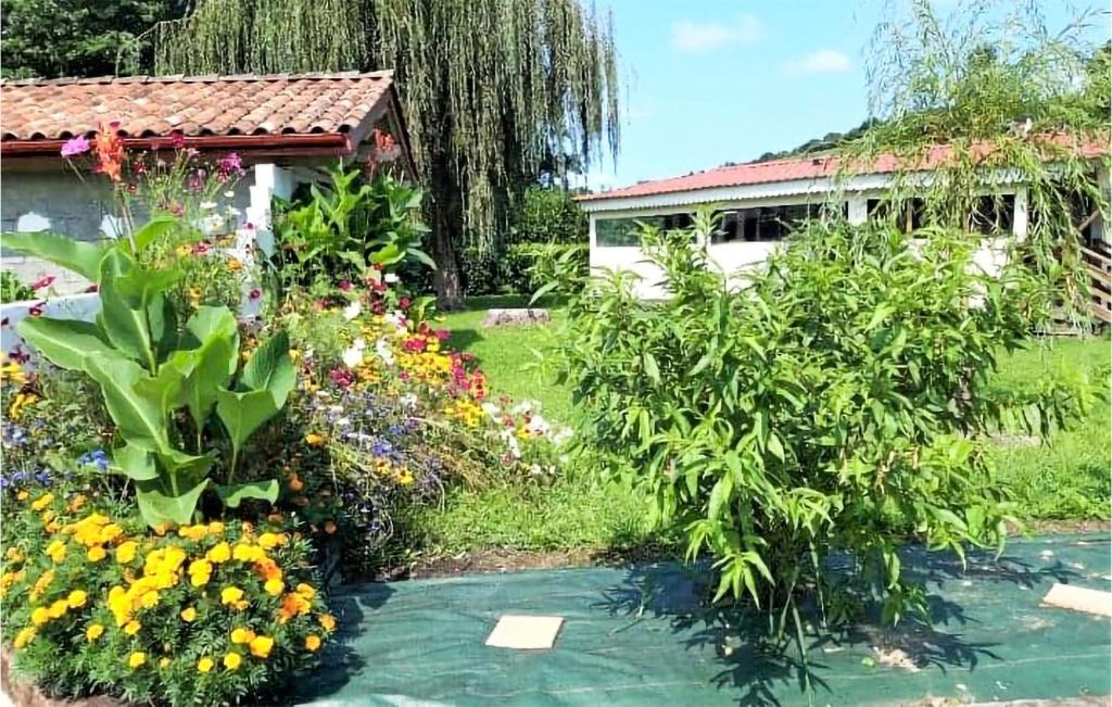 Amazing Apartment In Saint-pe-sur-nivelle With 1 Bedrooms And Wifi photo 3