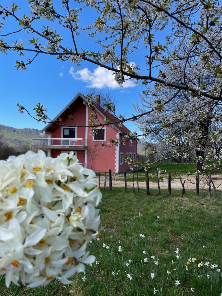 Countryside Guest House