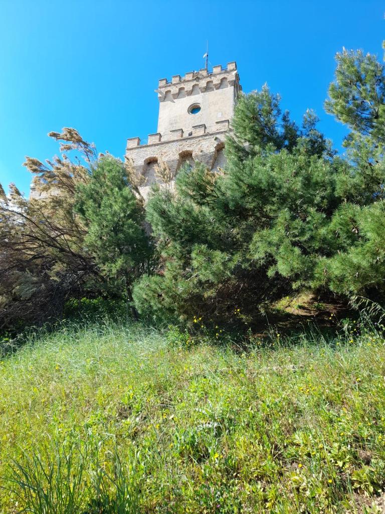 Il garusolo photo 1