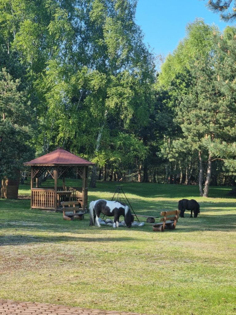 Zacisze Jurajskie photo 1