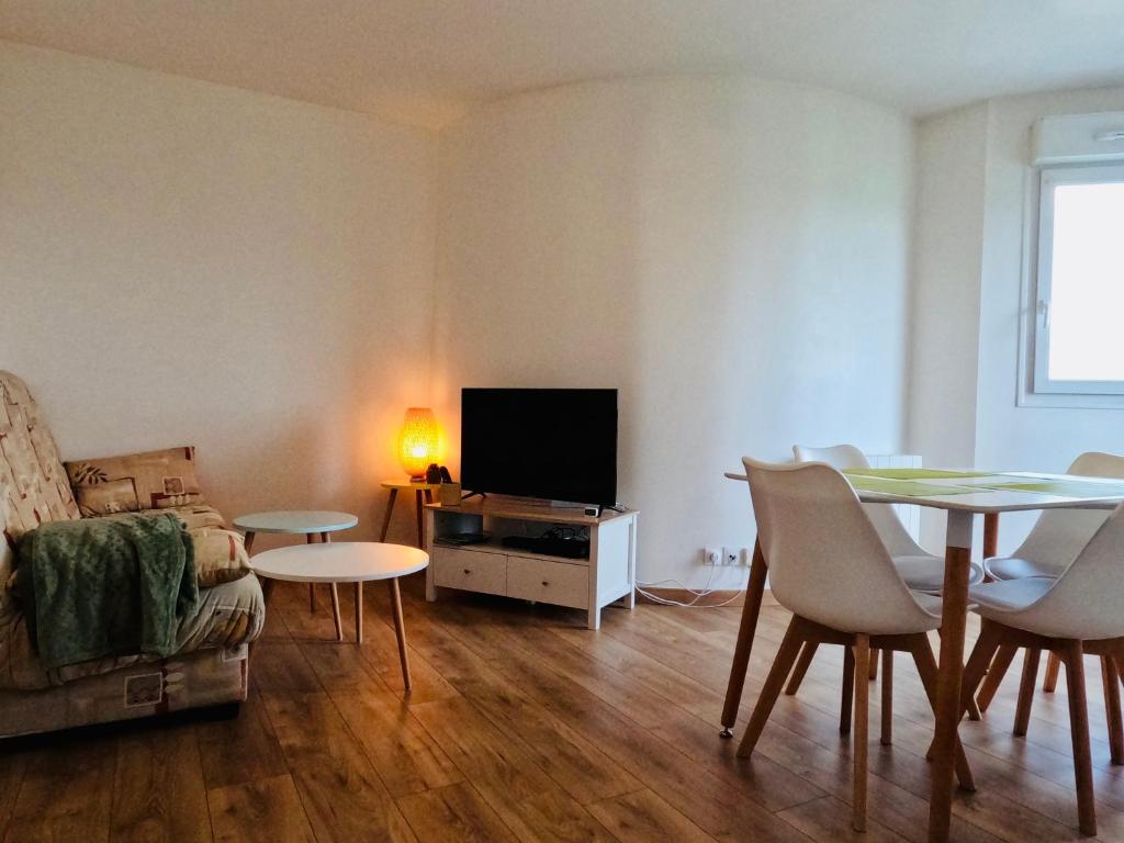 Appartement Cosy Joué-Les-Tours photo 4