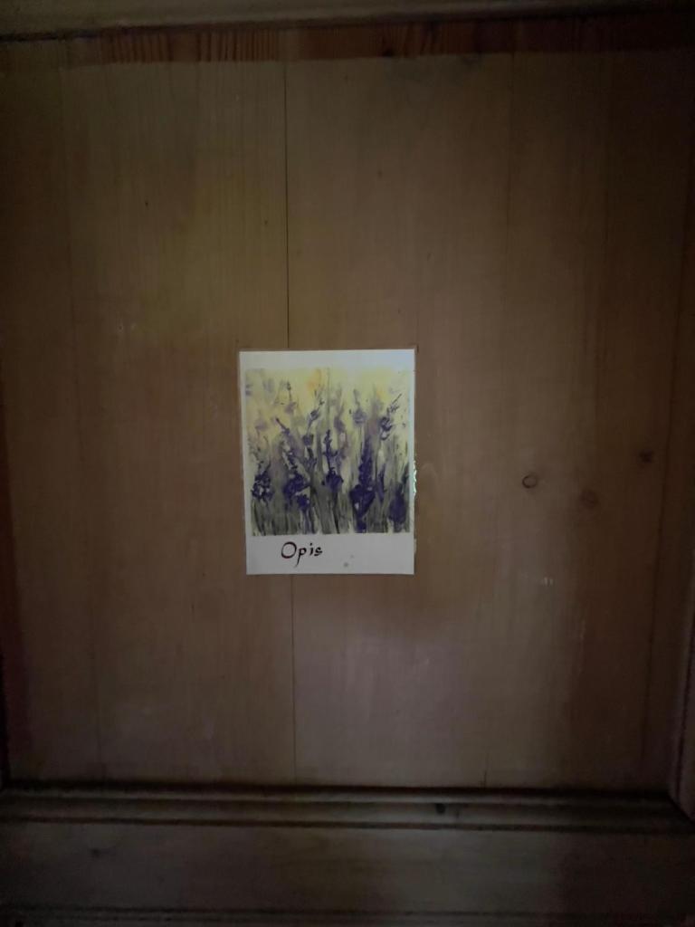 B&B Il Posto delle Rose photo 3