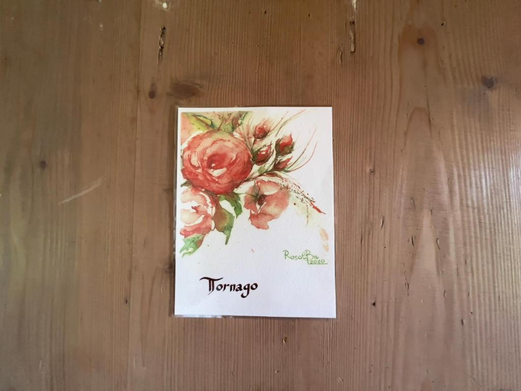 B&B Il Posto delle Rose photo 2