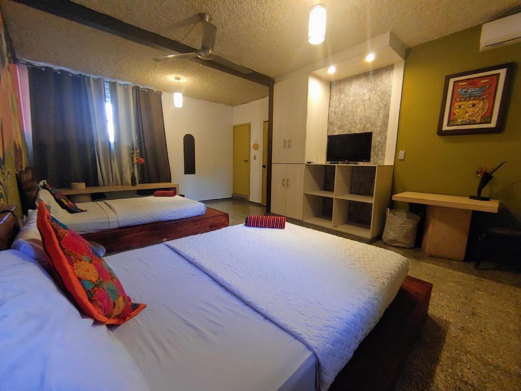 La Zona Hostel photo 4