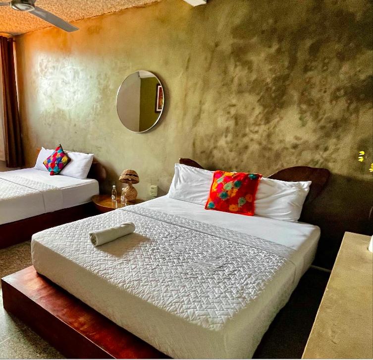 La Zona Hostel photo 2