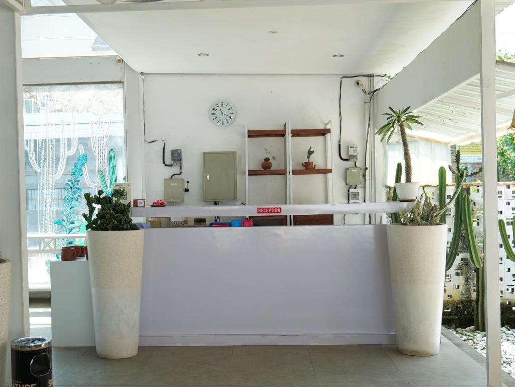 Cactus Guest House Borobudur photo 2