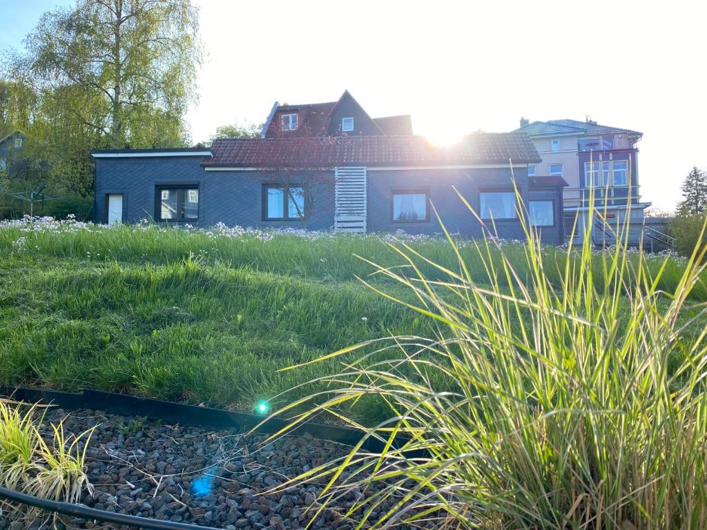 Ferienhäuschen Gartenblick photo 3
