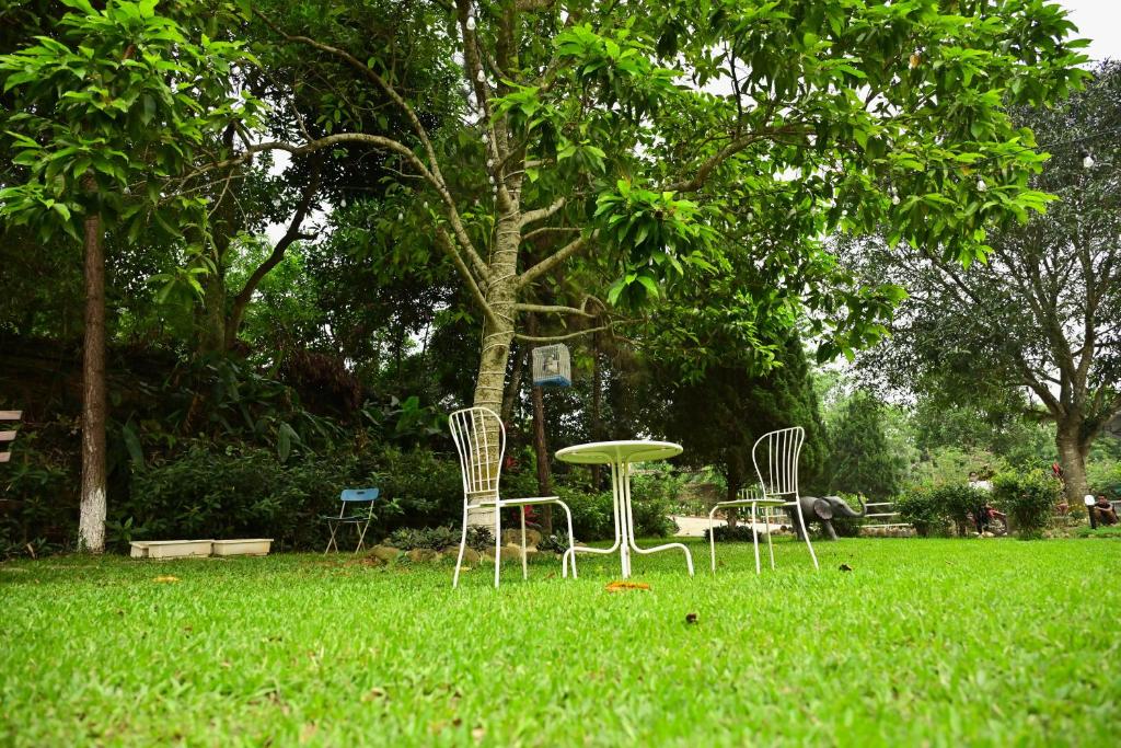 Hoàng Yến Garden Ba Vì