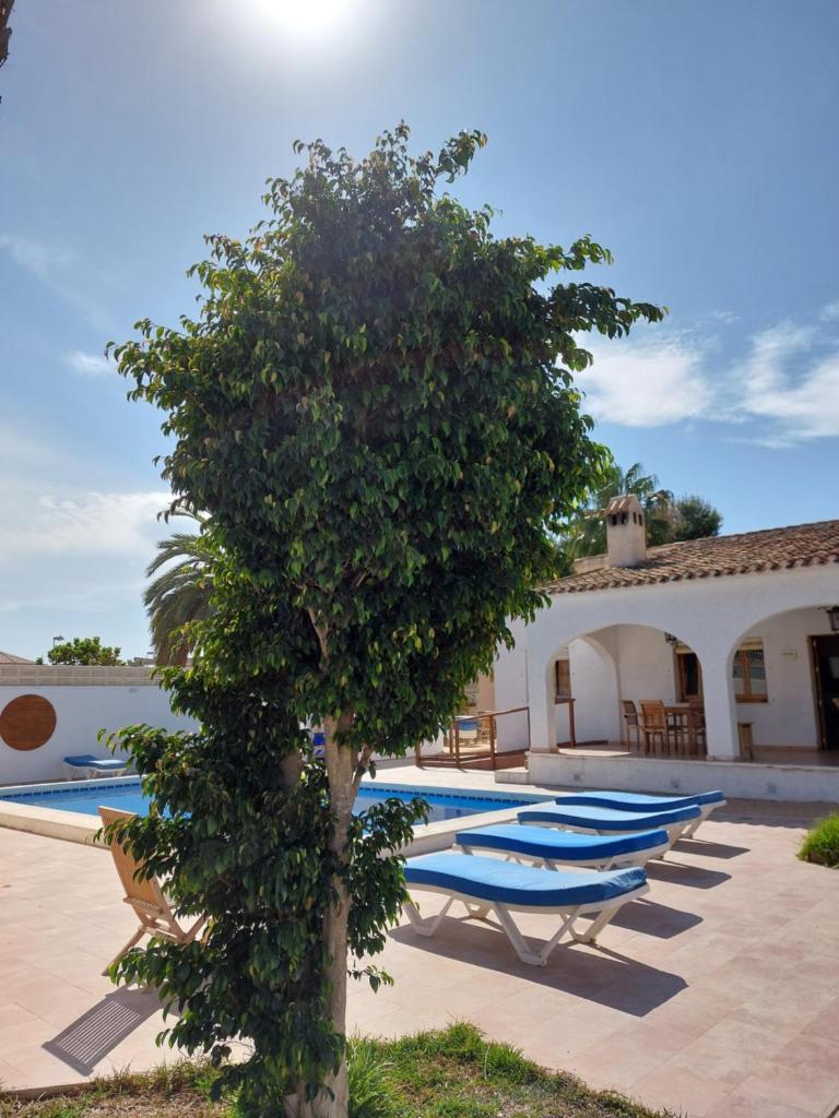 ZENIA HOSTEL photo 1