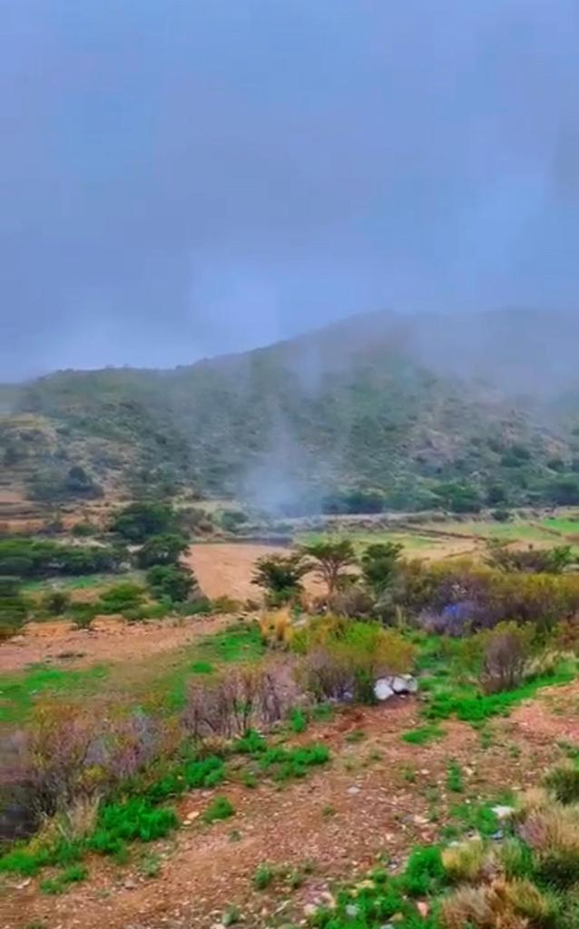 هتان السودة Hattan Al-Sodah photo 4