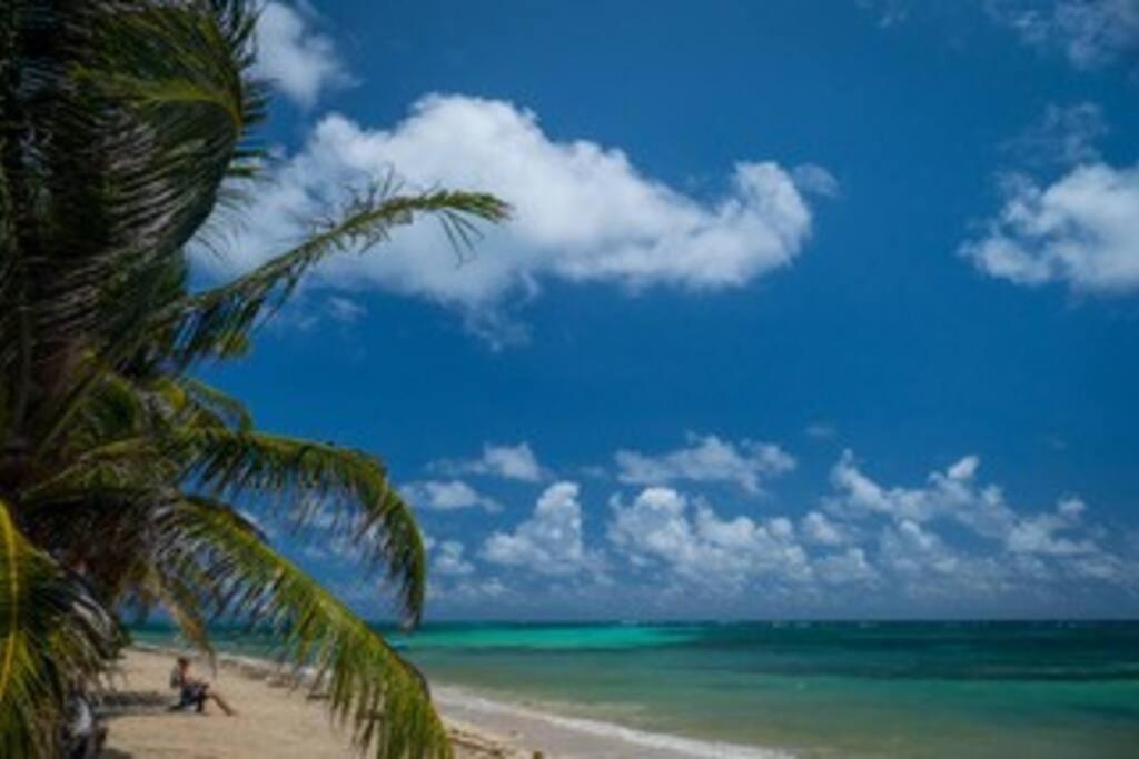 Casa Paraíso - Little Corn Island photo 2