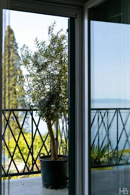 Apartment Glavanovo beach photo 1