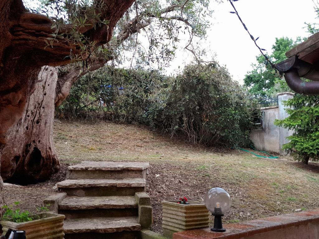 I Gufetti 2 photo 1