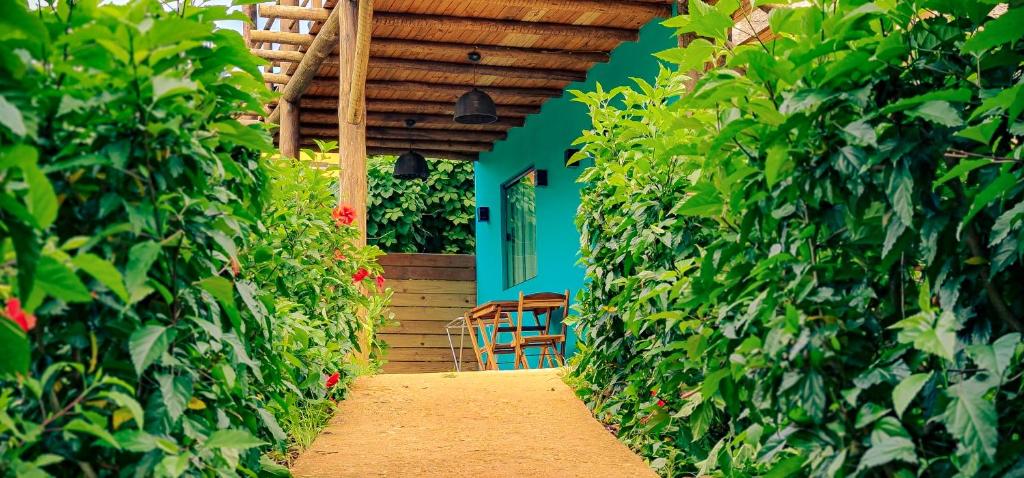 Flat Noronha Dreams photo 3