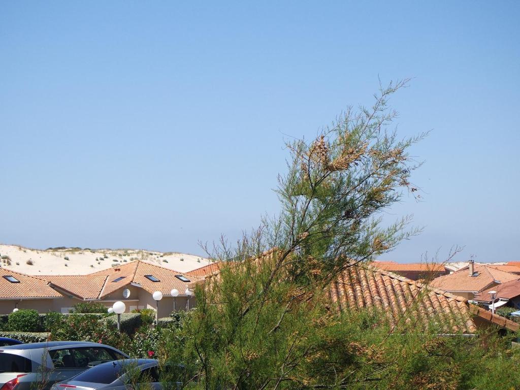 Appartement Biscarrosse Plage, 2 pièces, 6 personnes - FR-1-319-342 photo 1