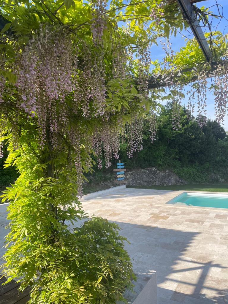 La villa Casa Vaunage photo 2