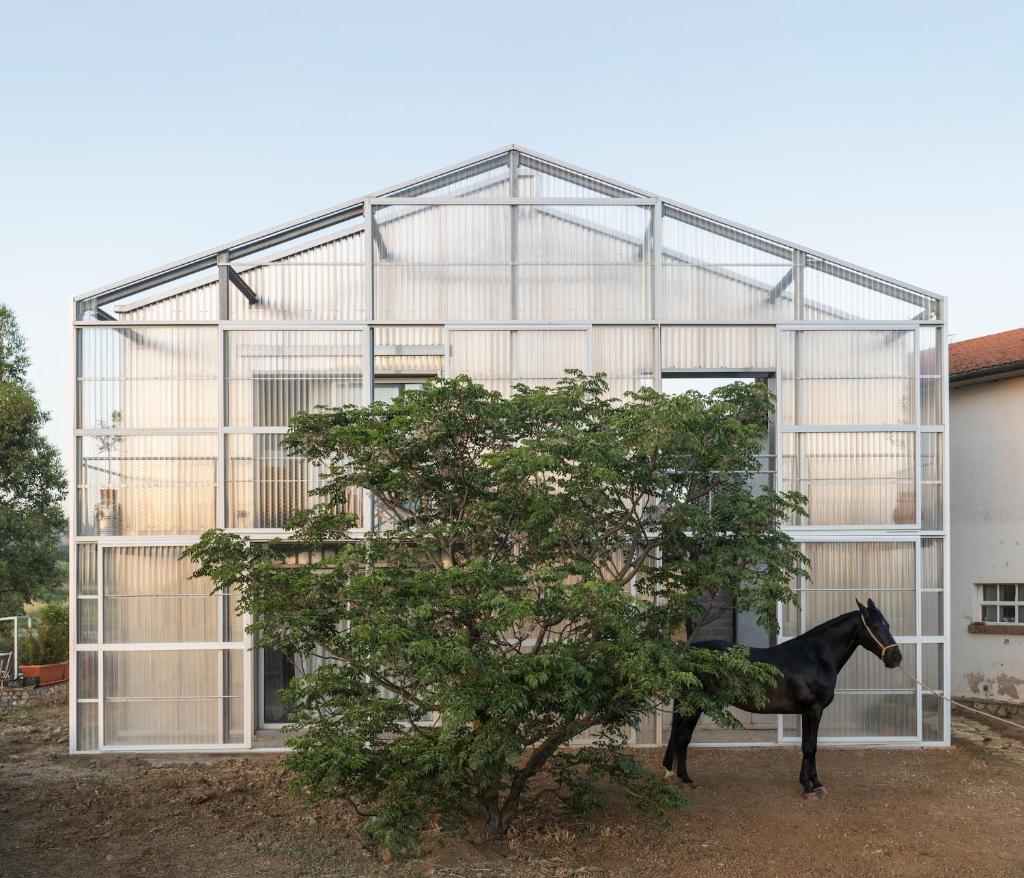 Anonima Agricola photo 1
