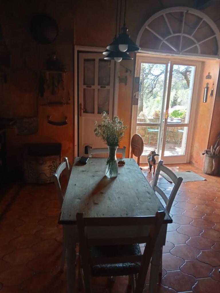 Morelli House photo 4