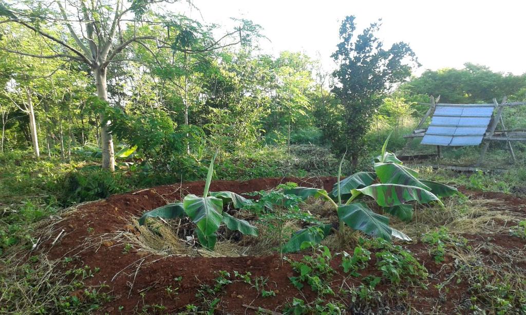 Finca Joco Mico photo 2