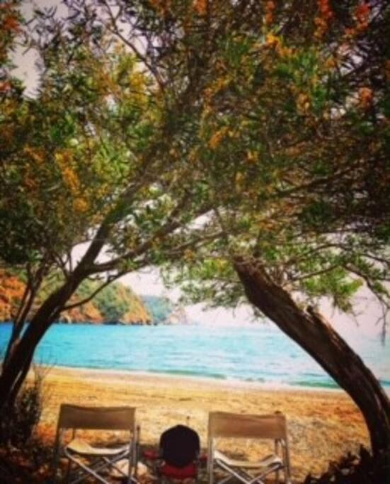 VİLLA AKDENİZ , İN GÖCEK İNLİCE NATURAL VOCATİON! photo 4