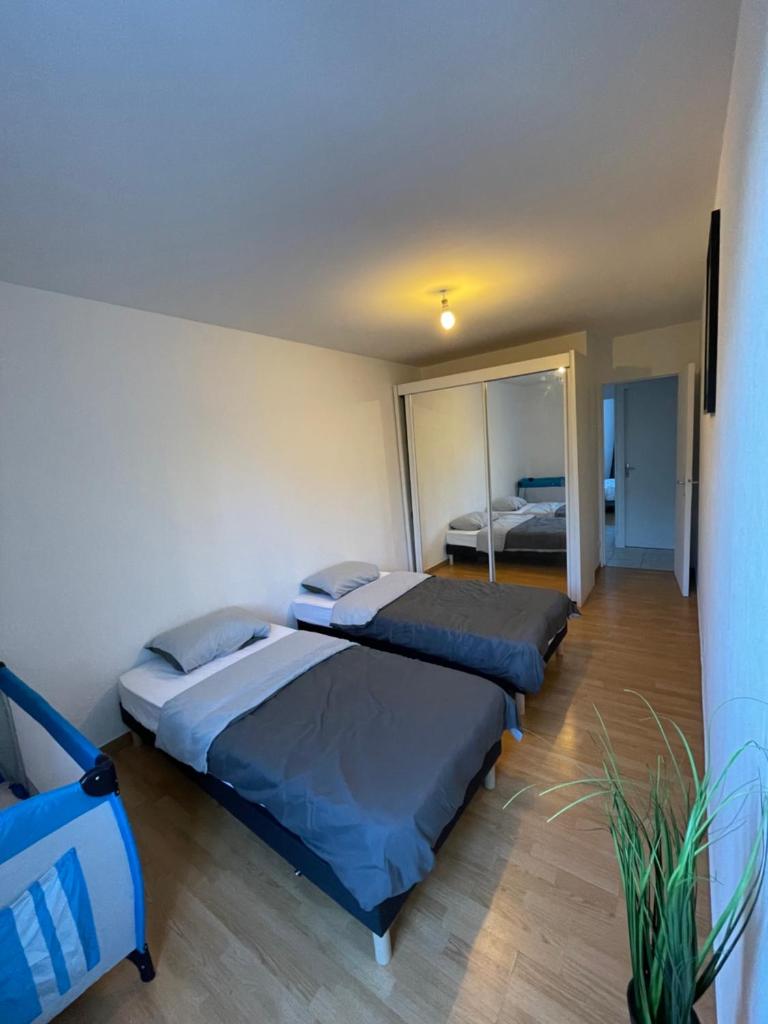 Grand appartement Annemasse photo 2