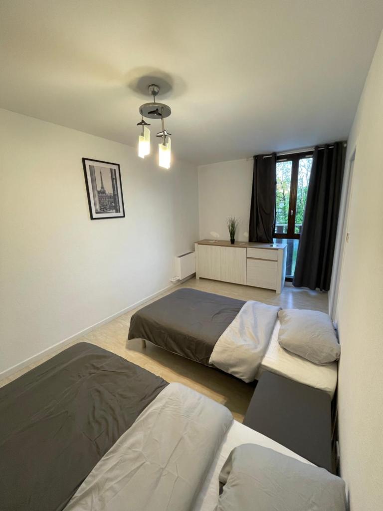 Grand appartement Annemasse photo 1