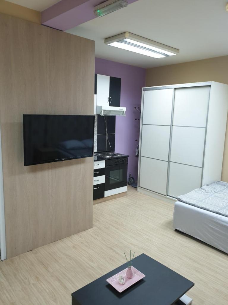 LENI apartman u centru Zajecara photo 1