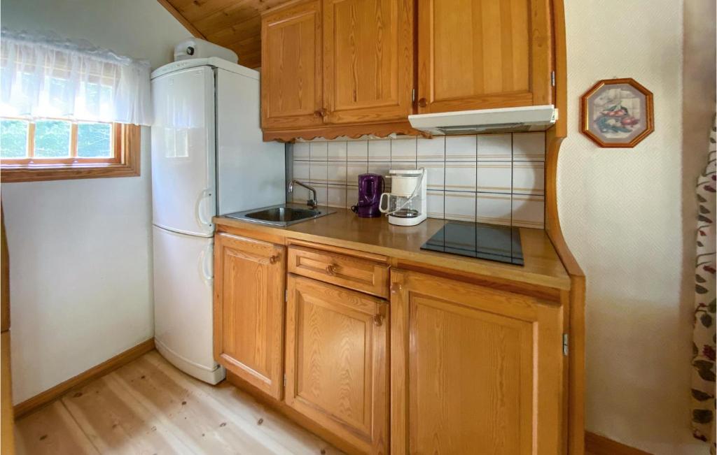 Awesome Home In Jlluntofta With Sauna, Wifi And 1 Bedrooms photo 4