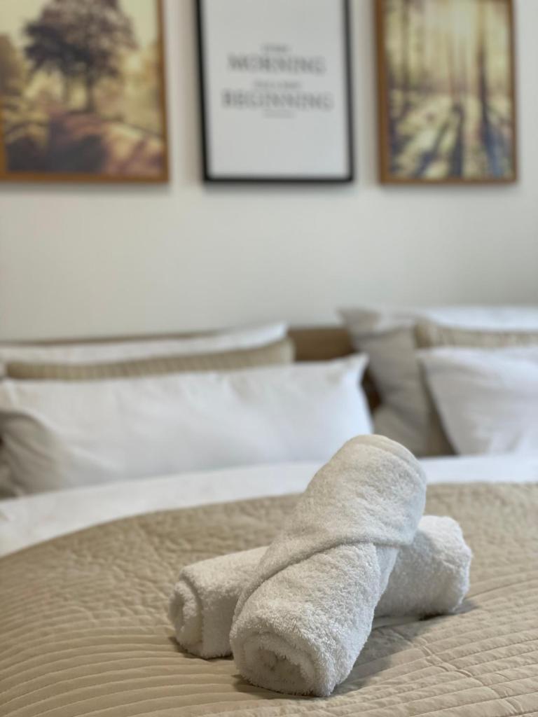 Modern Terrace Apartment Free Wifi Free Parking and Netflix photo 1