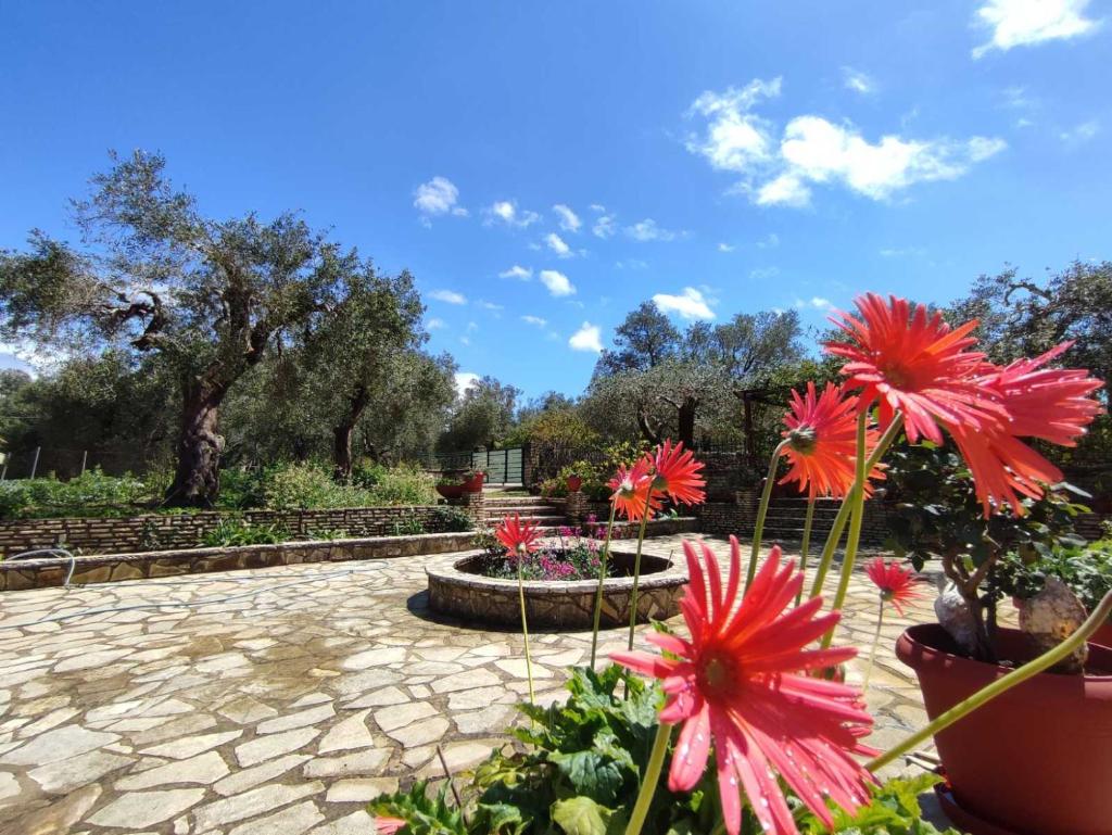 Villa Olive Garden, Kastanida - Paxoi photo 4