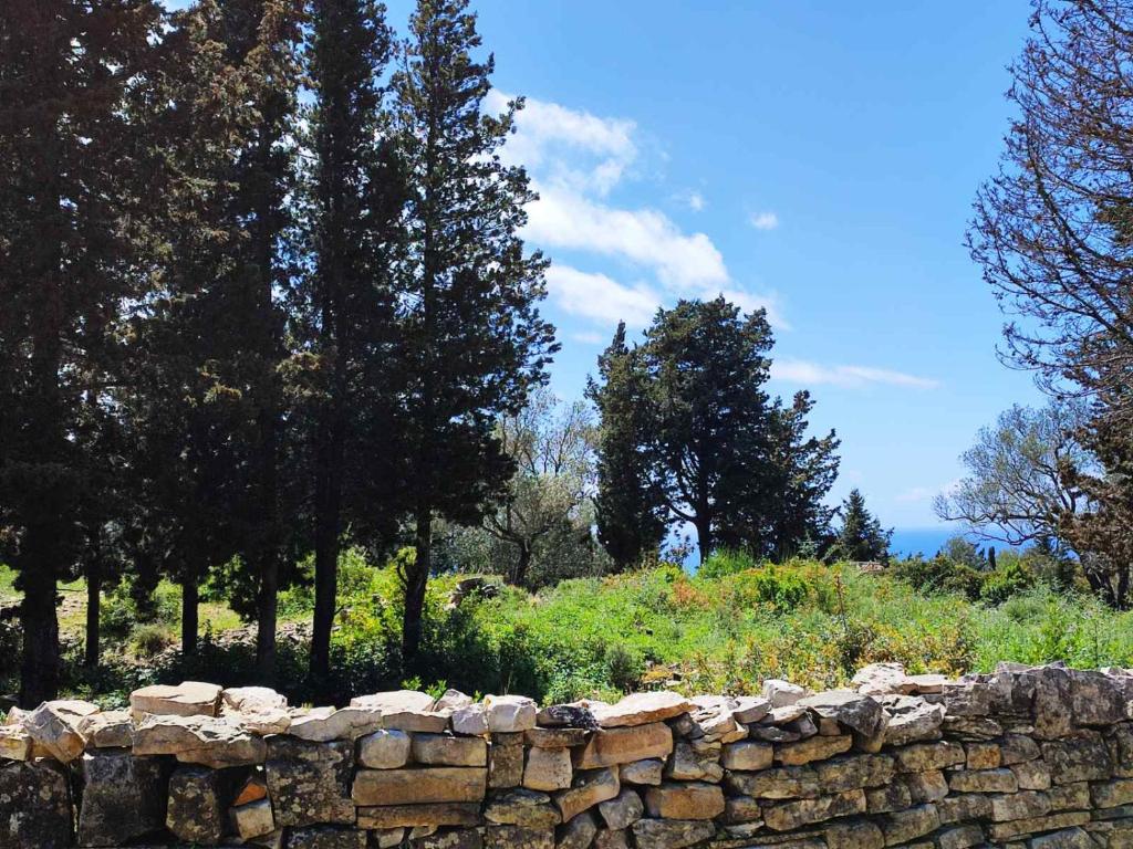 Villa Olive Garden, Kastanida - Paxoi photo 3