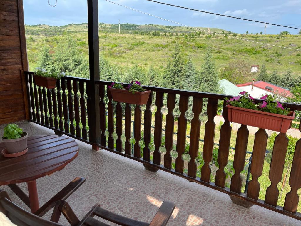 Villa Vesna photo 2