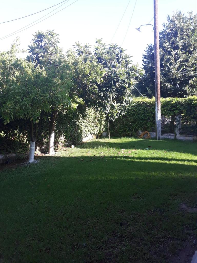 Villa Anesis-Παραθαλάσσια βίλα photo 1