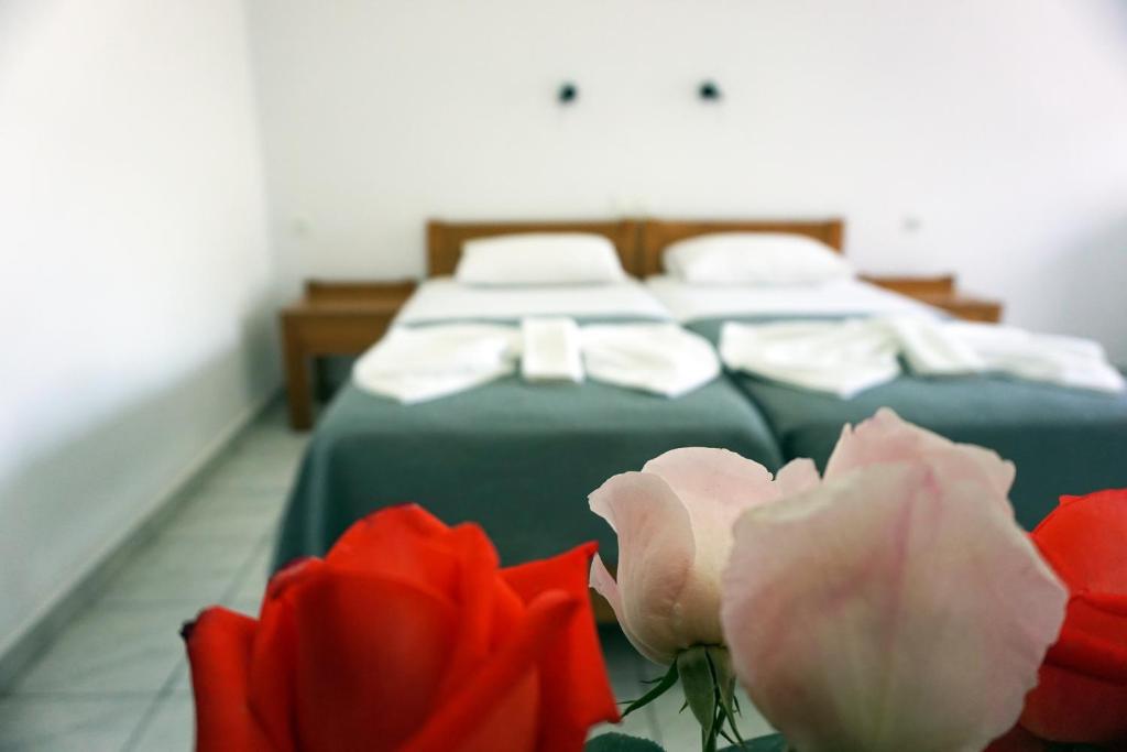Aphrodite Studios & Apartment photo 1