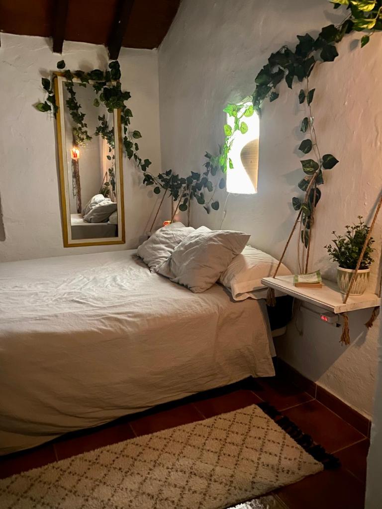 La Tahona (Cortijo Andaluz en las montañas) photo 3